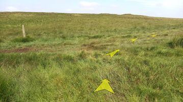 A photo of step 24 of the Axe Edge Walk route, with yellow arrows superimposed to show the way.