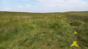 A photo of step 25 of the Axe Edge Walk route, with yellow arrows superimposed to show the way.
