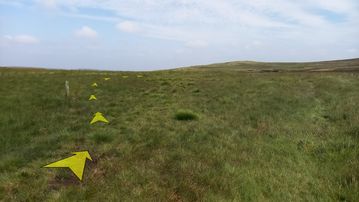 A photo of step 28 of the Axe Edge Walk route, with yellow arrows superimposed to show the way.