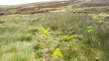 A photo of step 30 of the Axe Edge Walk route, with yellow arrows superimposed to show the way.