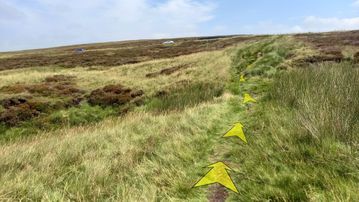 A photo of step 31 of the Axe Edge Walk route, with yellow arrows superimposed to show the way.