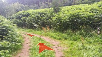 A photo of step 2 of the Bamford Edge Walk route, with red arrows superimposed to show the way.