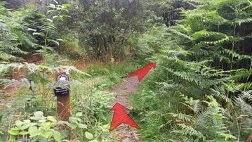A photo of step 3 of the Bamford Edge Walk route, with red arrows superimposed to show the way.