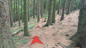 A photo of step 4 of the Bamford Edge Walk route, with red arrows superimposed to show the way.