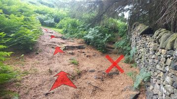 A photo of step 6 of the Bamford Edge Walk route, with red arrows superimposed to show the way.