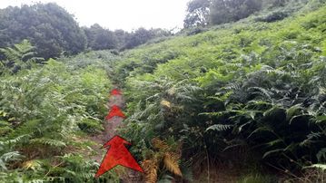 A photo of step 7 of the Bamford Edge Walk route, with red arrows superimposed to show the way.