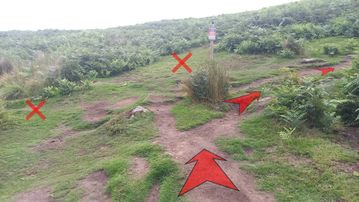 A photo of step 8 of the Bamford Edge Walk route, with red arrows superimposed to show the way.