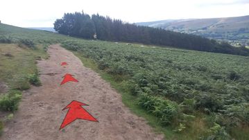 A photo of step 17 of the Bamford Edge Walk route, with red arrows superimposed to show the way.