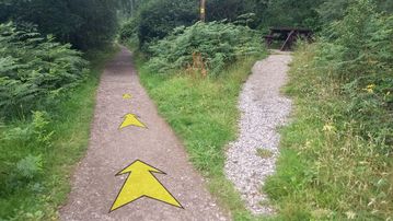 A photo of step 27 of the Bamford Edge Walk route, with yellow arrows superimposed to show the way.