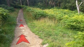 A photo of step 14 of the Burbage Rocks & Higger Tor Walk route, with red arrows superimposed to show the way.