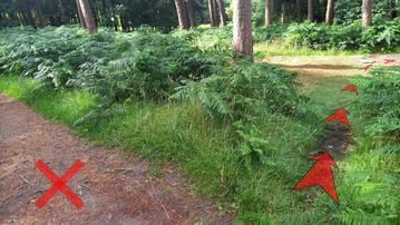 A photo of step 15 of the Burbage Rocks & Higger Tor Walk route, with red arrows superimposed to show the way.