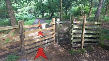 A photo of step 16 of the Burbage Rocks & Higger Tor Walk route, with red arrows superimposed to show the way.