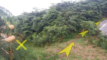 A photo of step 20 of the Burbage Rocks & Higger Tor Walk route, with yellow arrows superimposed to show the way.