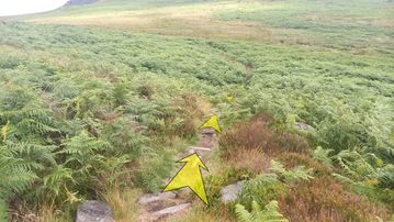 A photo of step 24 of the Burbage Rocks & Higger Tor Walk route, with yellow arrows superimposed to show the way.