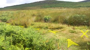 A photo of step 25 of the Burbage Rocks & Higger Tor Walk route, with yellow arrows superimposed to show the way.