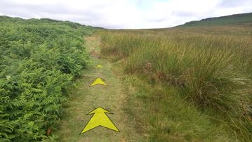 A photo of step 26 of the Burbage Rocks & Higger Tor Walk route, with yellow arrows superimposed to show the way.