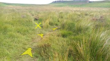 A photo of step 27 of the Burbage Rocks & Higger Tor Walk route, with yellow arrows superimposed to show the way.