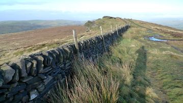 A photo of step 8 of the Cats Tor Walk route, with yellow arrows superimposed to show the way.
