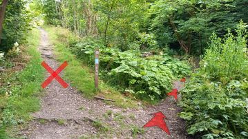 A photo of step 7 of the Chee Dale Walk route, with red arrows superimposed to show the way.