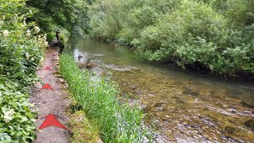 A photo of step 11 of the Chee Dale Walk route, with red arrows superimposed to show the way.