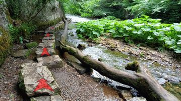 A photo of step 16 of the Chee Dale Walk route, with red arrows superimposed to show the way.