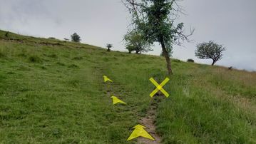 A photo of step 28 of the Chee Dale Walk route, with yellow arrows superimposed to show the way.