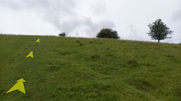 A photo of step 29 of the Chee Dale Walk route, with yellow arrows superimposed to show the way.
