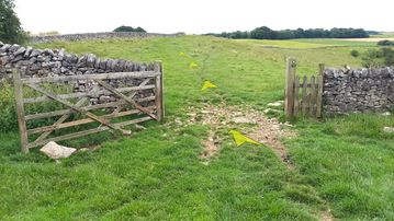 A photo of step 30 of the Chee Dale Walk route, with yellow arrows superimposed to show the way.