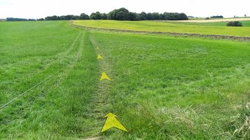 A photo of step 32 of the Chee Dale Walk route, with yellow arrows superimposed to show the way.