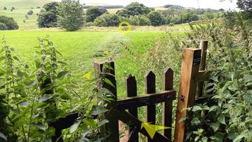A photo of step 36 of the Chee Dale Walk route, with yellow arrows superimposed to show the way.