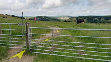 A photo of step 42 of the Chee Dale Walk route, with yellow arrows superimposed to show the way.