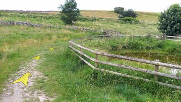 A photo of step 44 of the Chee Dale Walk route, with yellow arrows superimposed to show the way.