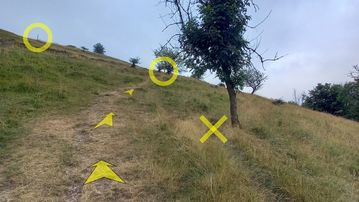 A photo of step 28 of the Chee Dale Walk route, with yellow arrows superimposed to show the way.