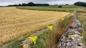 A photo of step 32 of the Chee Dale Walk route, with yellow arrows superimposed to show the way.