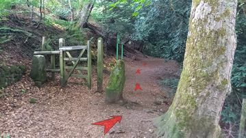 A photo of step 7 of the Corbar Hill Walk route, with red arrows superimposed to show the way.