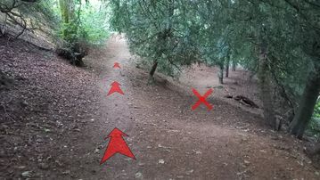 A photo of step 8 of the Corbar Hill Walk route, with red arrows superimposed to show the way.