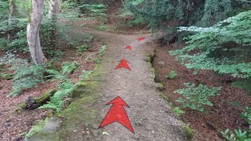 A photo of step 9 of the Corbar Hill Walk route, with red arrows superimposed to show the way.