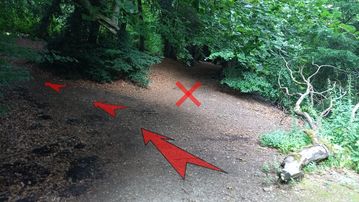 A photo of step 10 of the Corbar Hill Walk route, with red arrows superimposed to show the way.