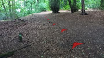A photo of step 11 of the Corbar Hill Walk route, with red arrows superimposed to show the way.