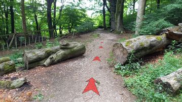 A photo of step 12 of the Corbar Hill Walk route, with red arrows superimposed to show the way.