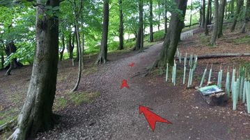A photo of step 13 of the Corbar Hill Walk route, with red arrows superimposed to show the way.