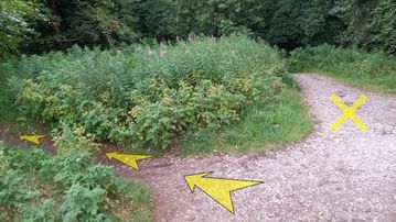 A photo of step 18 of the Corbar Hill Walk route, with yellow arrows superimposed to show the way.