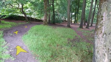 A photo of step 19 of the Corbar Hill Walk route, with yellow arrows superimposed to show the way.