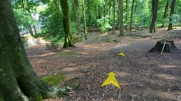 A photo of step 20 of the Corbar Hill Walk route, with yellow arrows superimposed to show the way.