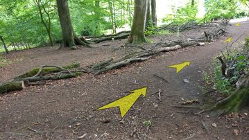 A photo of step 21 of the Corbar Hill Walk route, with yellow arrows superimposed to show the way.