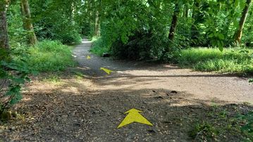 A photo of step 22 of the Corbar Hill Walk route, with yellow arrows superimposed to show the way.