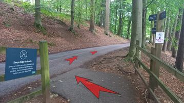 A photo of step 2 of the Derwent Reservoir Walk route, with red arrows superimposed to show the way.
