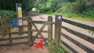 A photo of step 6 of the Derwent Reservoir Walk route, with red arrows superimposed to show the way.