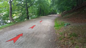 A photo of step 7 of the Derwent Reservoir Walk route, with red arrows superimposed to show the way.