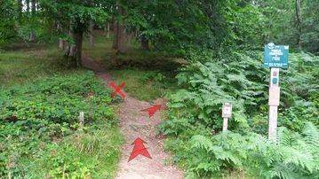 A photo of step 10 of the Derwent Reservoir Walk route, with red arrows superimposed to show the way.